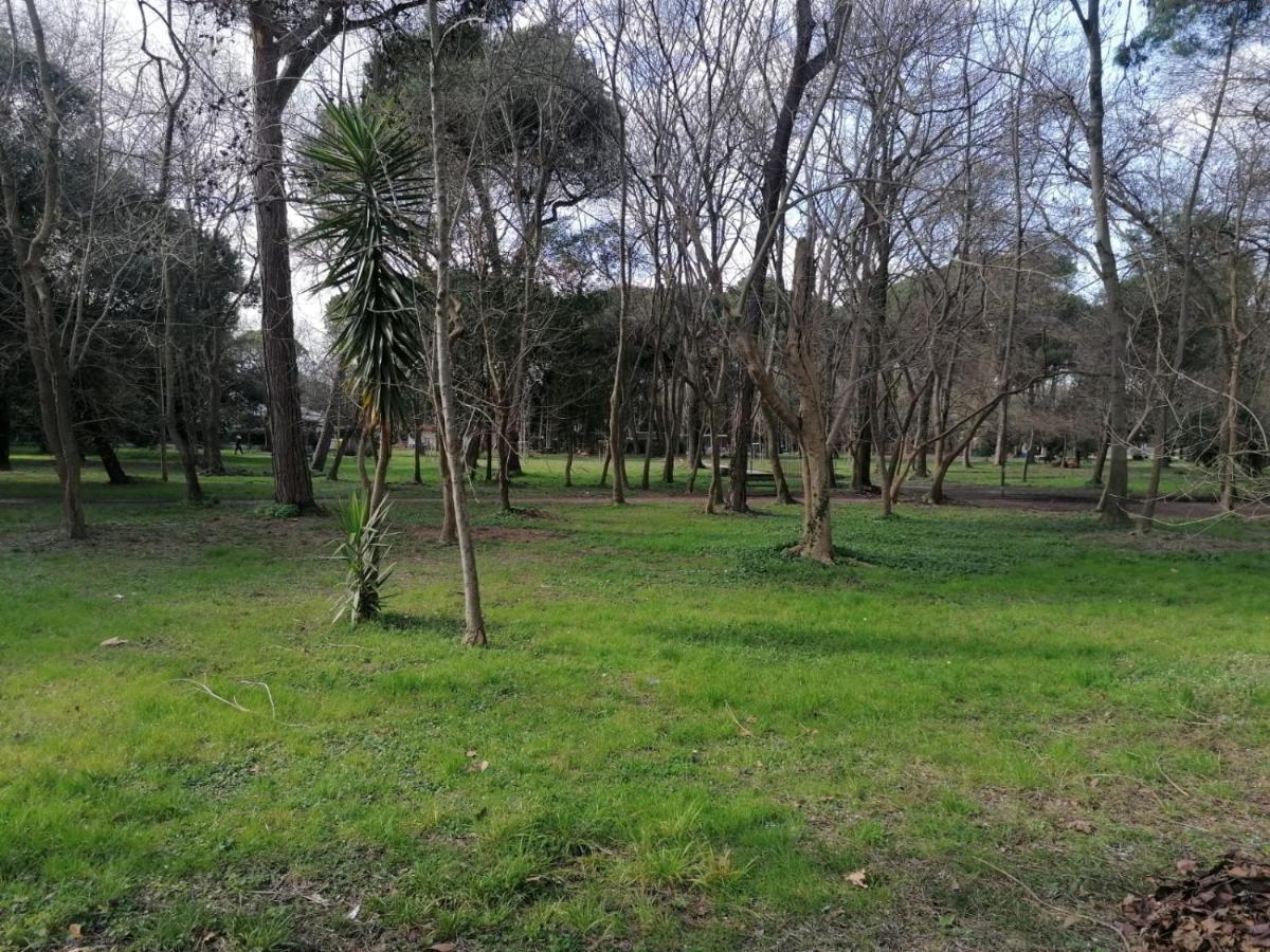 La Casina Giramondo Di Ele Holiday home Viareggio